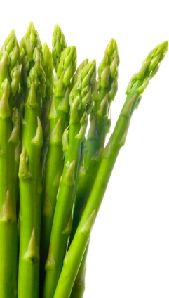 Asparagus