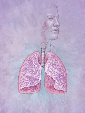 Causes of Bronchitis