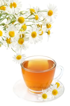 Chamomile Uses