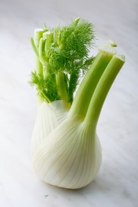 Fennel Plant