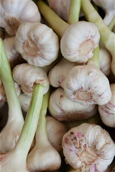 using garlic for health
