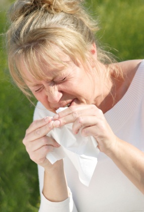 Stuffy Nose Remedies