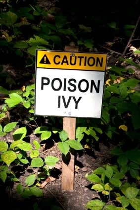 Natural Poison Ivy Cures