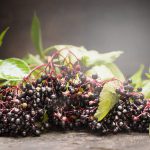 Elderberry